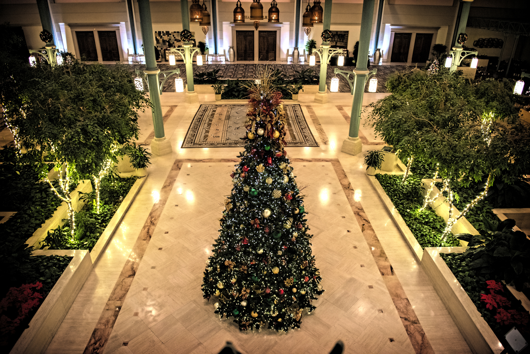 Ignite Christmas Lighting Tree Rentals