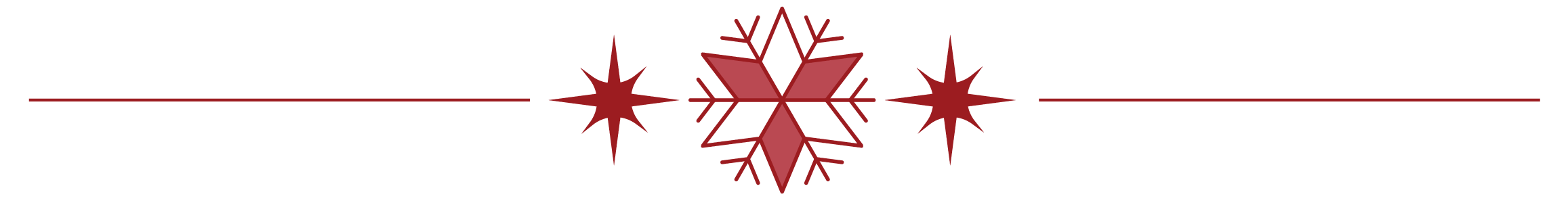 Ignite Christmas Lighting Border