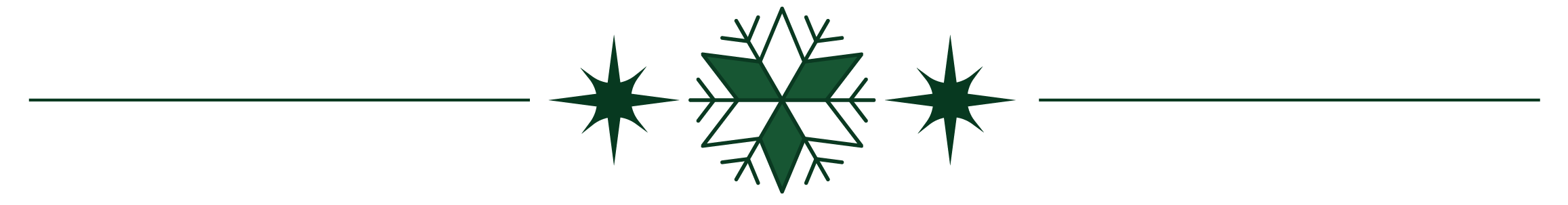 Ignite Christmas Lighting Border