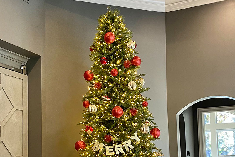 Ignite Christmas Lighting Tree Rentals